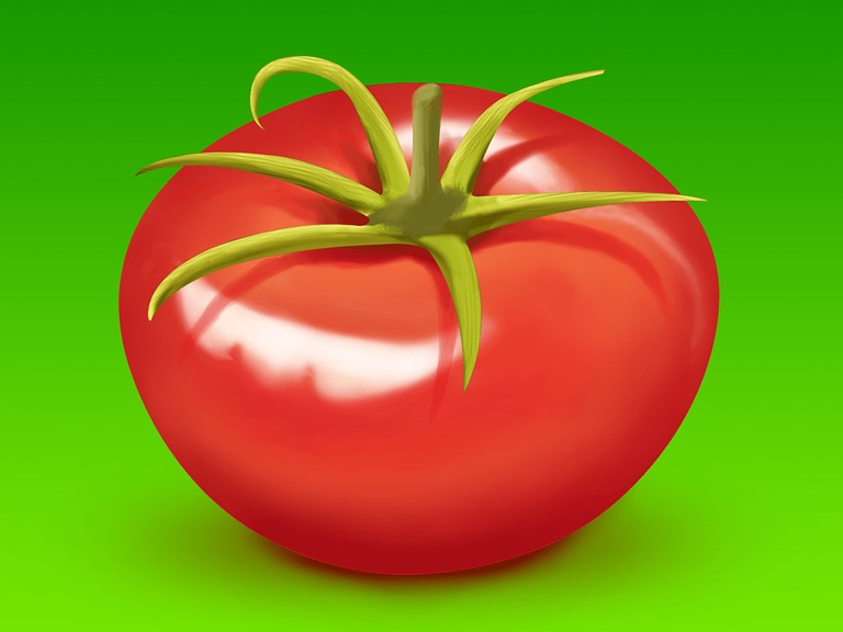 A graphic of a red tomato on a green background.